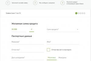 Loans from Russian Standard Bank
